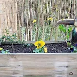 Charmant T2 Avec Jardin Proche Gare