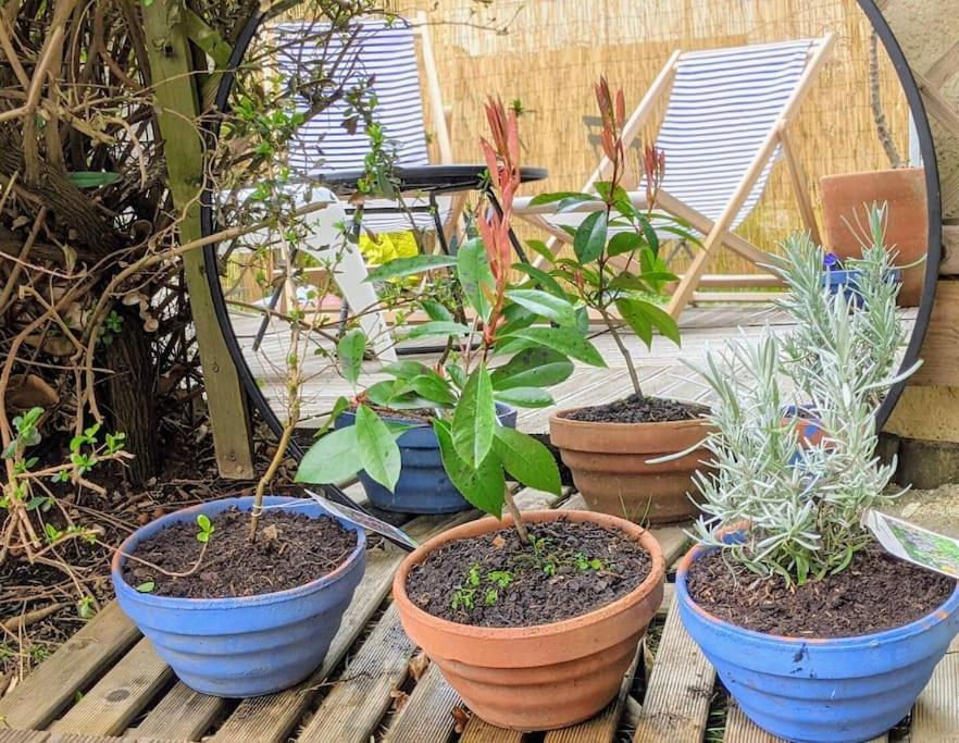 T2 Avec Jardin Proche Gare Appartement Rennes
